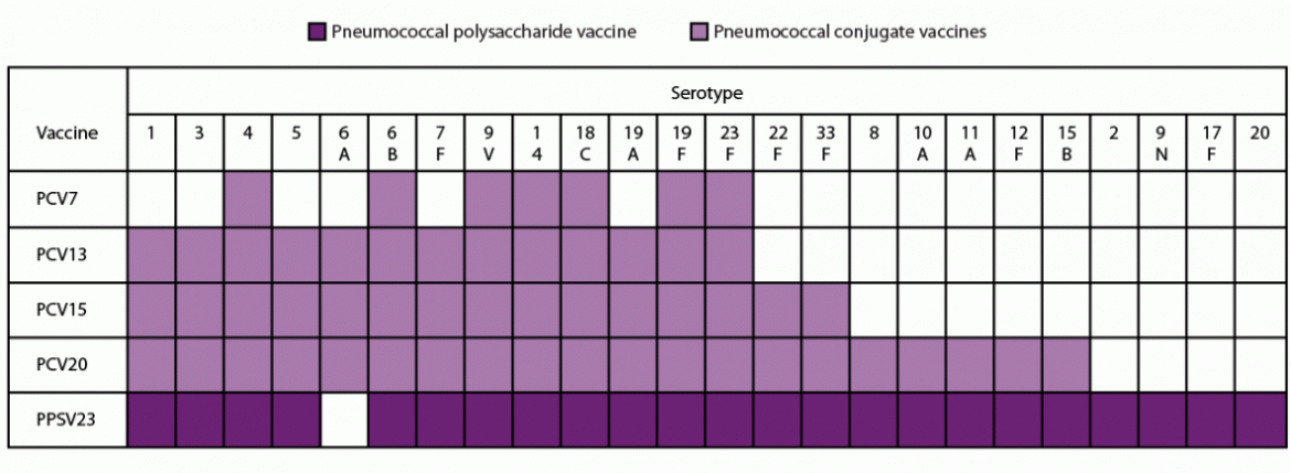 19岁以上成人肺炎球菌疫苗:美国免疫实践咨询委员会的建议，2023年