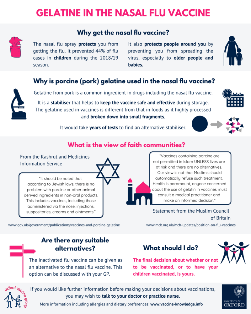 Gelatine in flu vaccine infographic