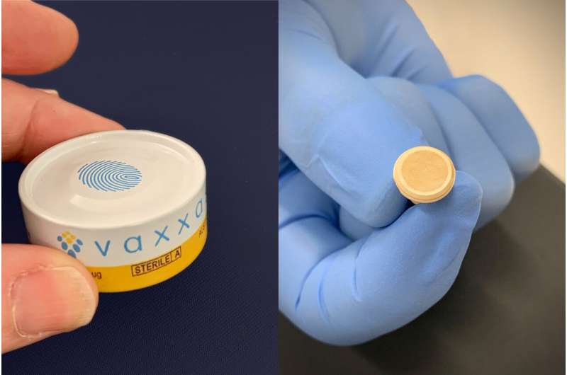 无针疫苗贴片在临床前试验中提供针对寨卡病毒的保护
